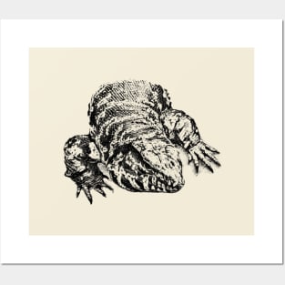 Tegu Posters and Art